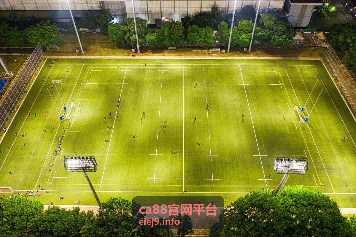 ca88官网平台公告信息界面
